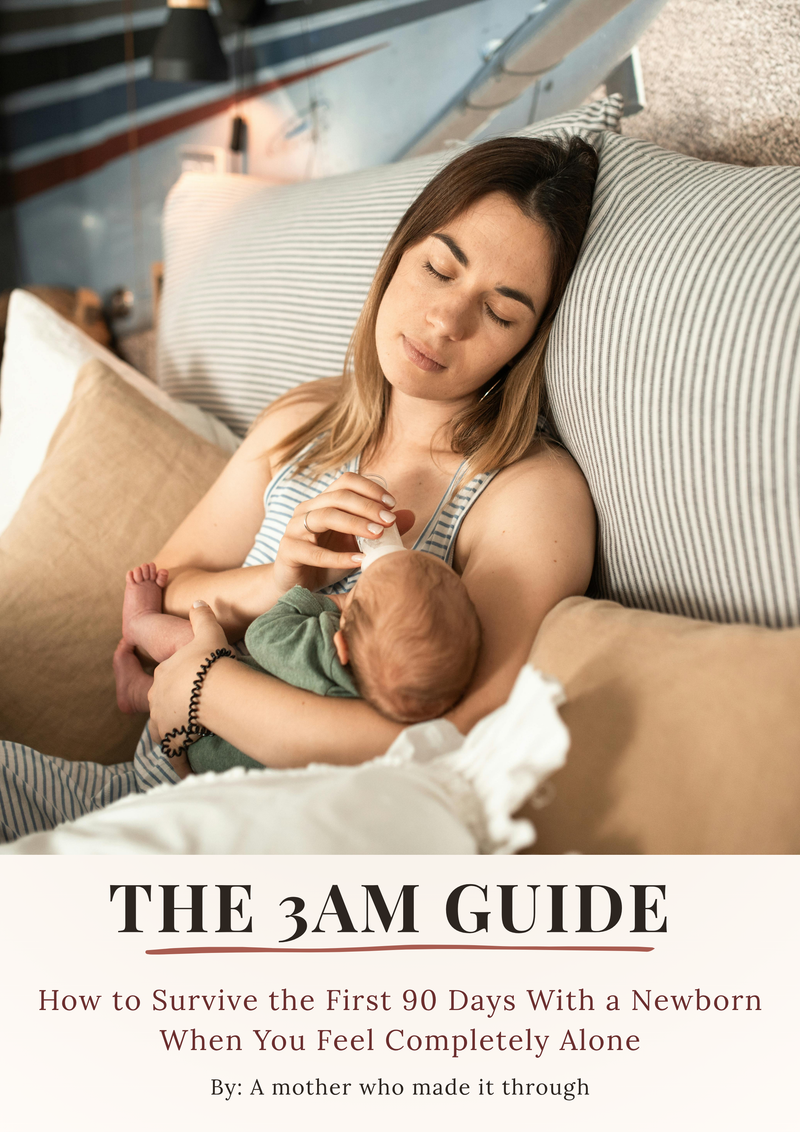 The 3AM Guide cover